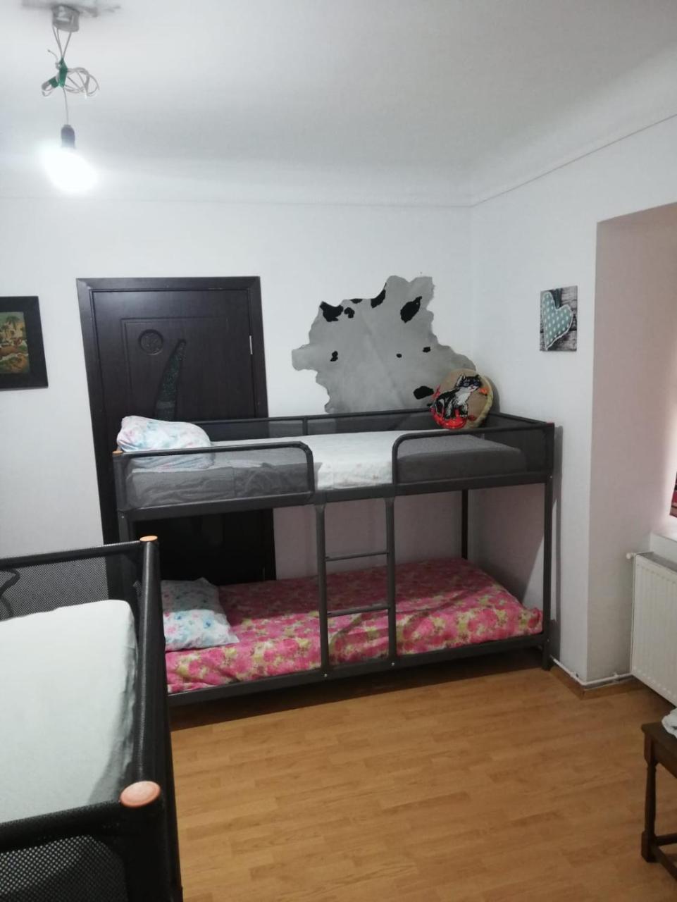 Leyla Hostel Brasov Exterior photo