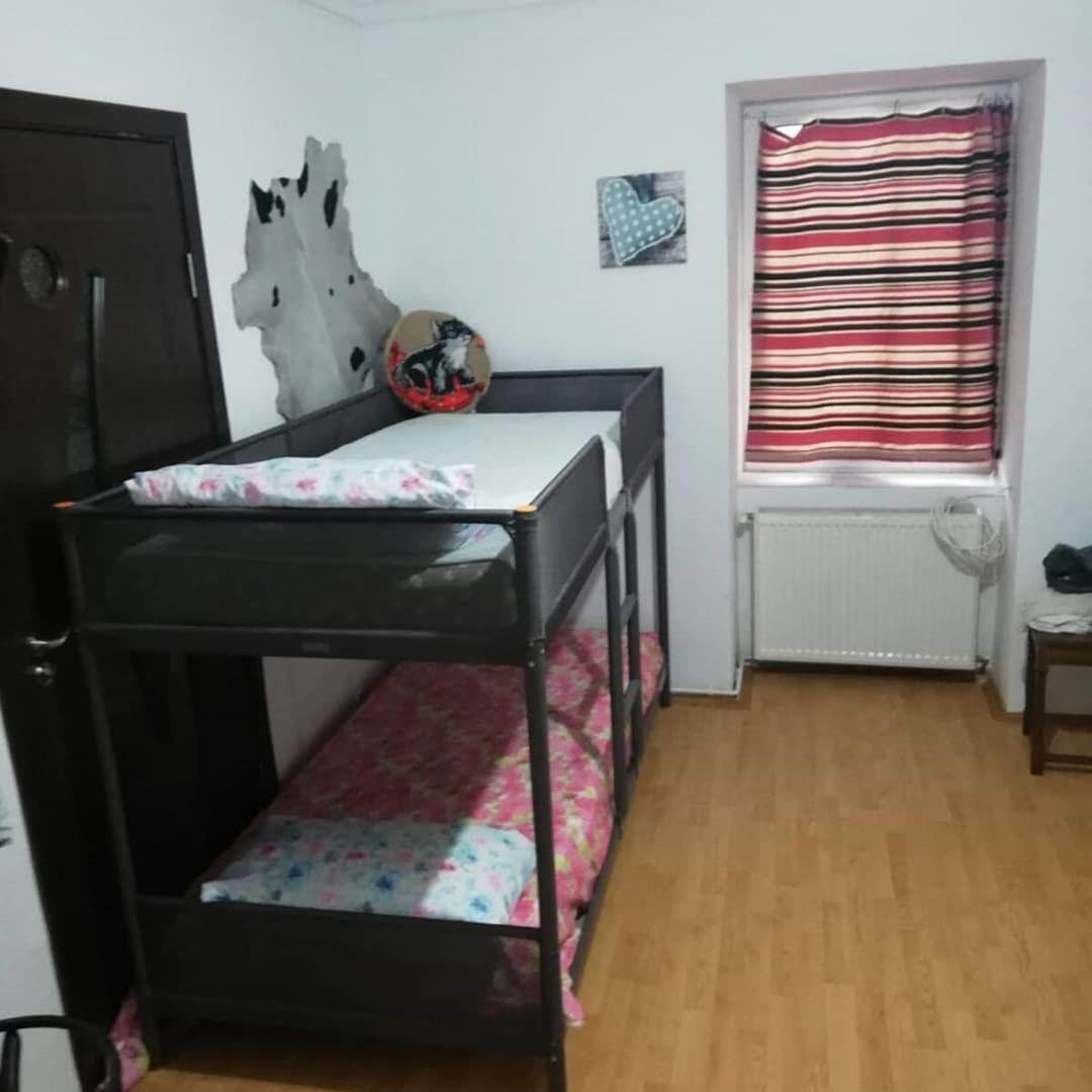 Leyla Hostel Brasov Exterior photo