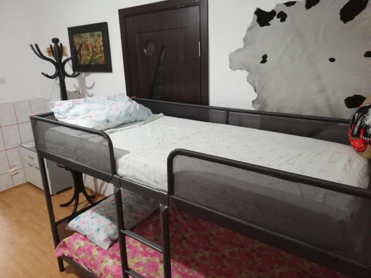 Leyla Hostel Brasov Exterior photo
